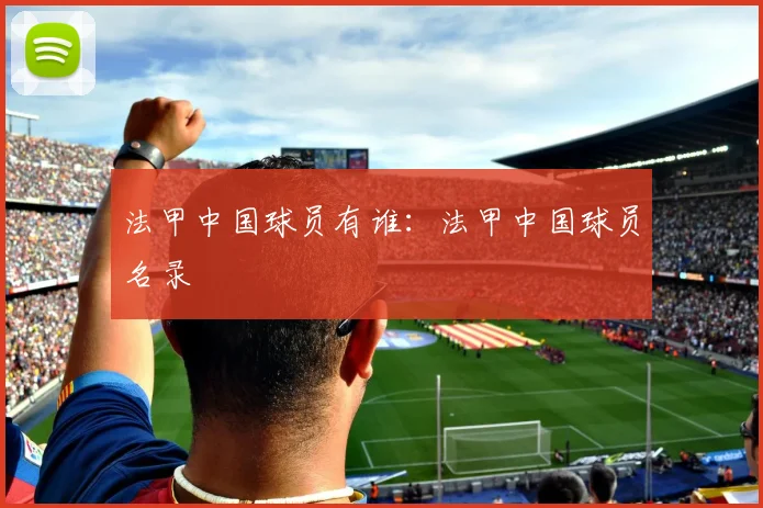 法甲中国球员有谁：法甲中国球员名录