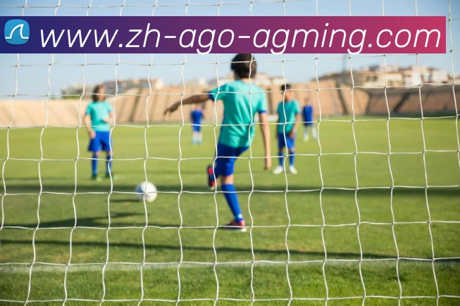 AG娱乐登录平台生态图